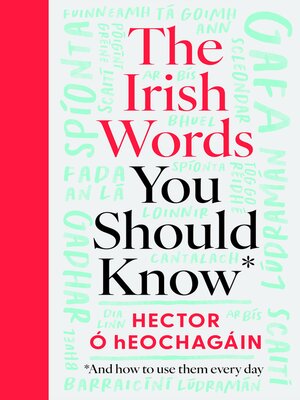 cover image of The Irish Words You Should Know